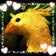 ちっちゃい物で遊びましょう♪