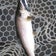 Nの釣り日記