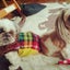 画像 彦根市  犬の美容室 はなぺちゃのブログ~わんちゃんの笑顔あふれるサロン~のユーザープロフィール画像
