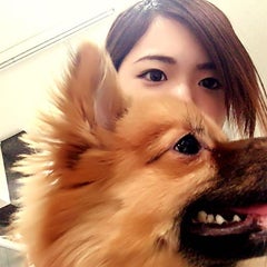 Mai.のプロフィール