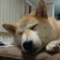 岡ちゃん日記