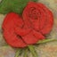 画像 花たちとの刻　　～ 庭の花･野の花･羽生結弦さん ～のユーザープロフィール画像