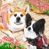 ボスのプロフィール