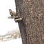 ひろみんのサムネイル