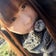 内間祐海のねこといっしょ。