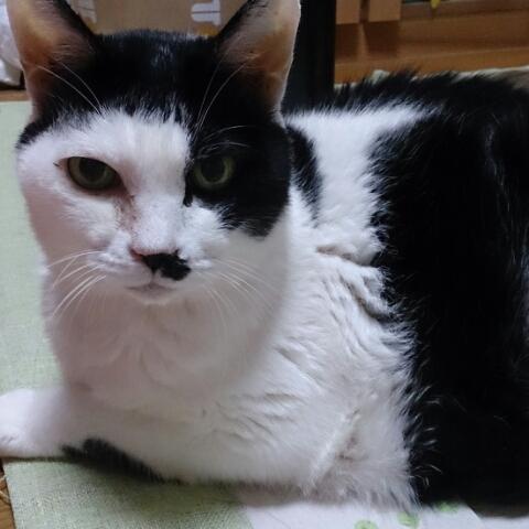 ナオ