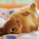 りんごうさぎ꒰•ི̫͡ુ•ྀૂ꒱ のブログ  ----二重 全切開ダウンタイム経過 ----