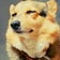 てんちゃんと私の膠原病ブログ