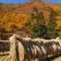 北アルプスの山麓で　自然とともに・・・・！