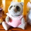 s-tanupontaのサムネイル