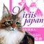画像 羊毛フェルト 教室 miriis japan羊毛フェルト協会　リアルな猫と犬のユーザープロフィール画像