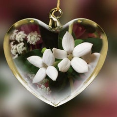 fioreのプロフィール