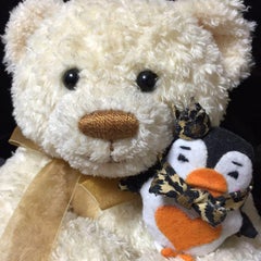 クーさんのプロフィール