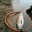 画像 まりもちゃんの魚釣り奮闘記のユーザープロフィール画像