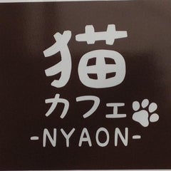 猫カフェ Nyaon