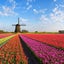 画像 ウォーキングのユーザープロフィール画像