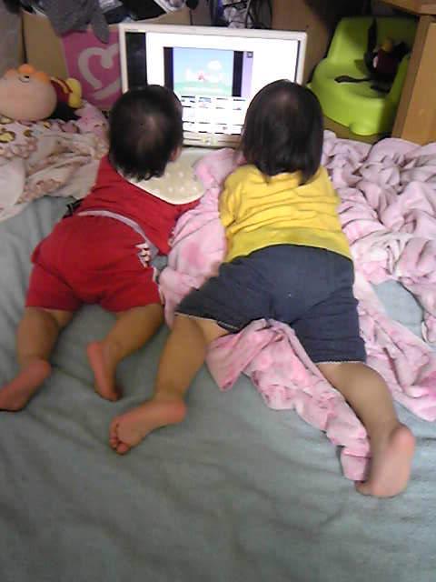  うめぼし 