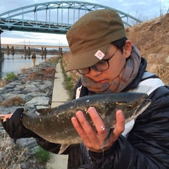 神通川 リバーシーバス 釣りバカ大学生ともきの釣行記