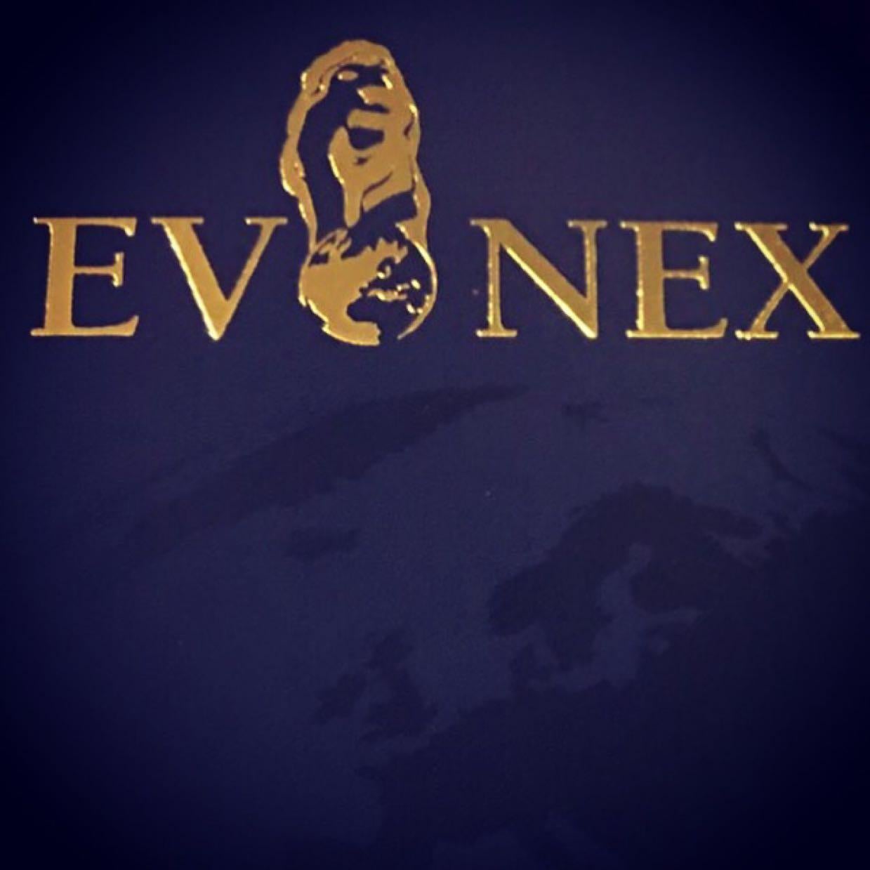 税金対策 アンティークコイン | EVONEXのブログ