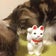 にゃんず通信