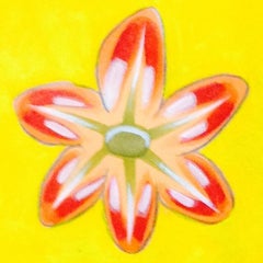 neezeのプロフィール