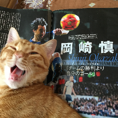 ささどんのプロフィール