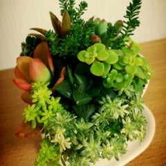 Michiのプロフィール