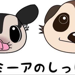 ミーアのしっぽさんのプロフィールページ ミーアのしっぽさんのプロフィールページ