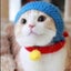 画像 ゆうかりのあみあみ、ボイメン、猫！！のユーザープロフィール画像