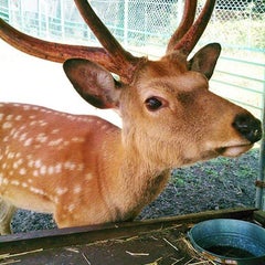 栗山公園のプロフィール