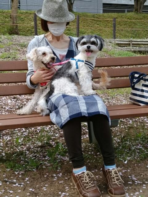 やっぱりuverworldはすごかった わんのブログ