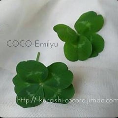 cocoemiのプロフィール