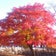 アラフォー☆韓国語勉強中