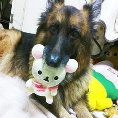 annzuのプロフィール