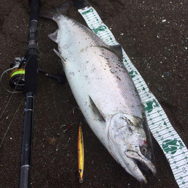 琴似発寒川 足首ほどの深さのポイントでヤマメ釣り 北海道の釣り備忘録