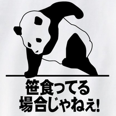 こはなのプロフィール