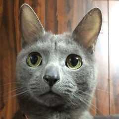 ぺっぺぇ〜のプロフィール