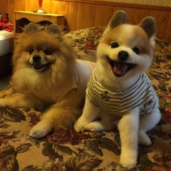 王子と姫のママのプロフィール