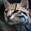 山猫のサムネイル