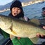 画像 静岡発バス釣り情報ブログ〜 Stay Green未熟な釣りは終わらない〜のユーザープロフィール画像