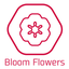 画像 福山駅前の口コミ人気ヘアサロン｜BLOOM FLOWERSのユーザープロフィール画像