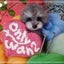 画像 Only-wan×2の羊毛フェルトワンコの世界のユーザープロフィール画像