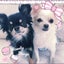 Jinco❤︎のサムネイル