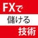 FXで儲ける技術 12ヶ月で+9999PIPS稼ぐ！