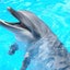 aromanoticeのサムネイル
