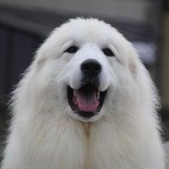 celebrateのプロフィール