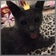 同居ねこのお時間