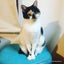 rie.yのサムネイル