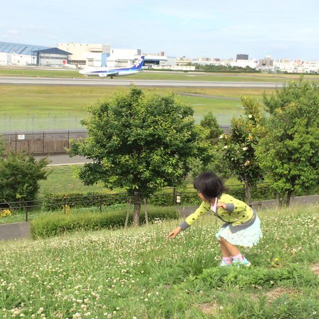 早期慢性膵炎の予後って 早期慢性膵炎を治すぞっ