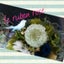 画像 浜松市Le Ruban Rose (ルリュバンローズ） プリザーブドフラワー＆M-Style ribbon Class® ﾄﾞｯｸﾁｮｰｶ、Ruffe Handle by Le Bonheurのユーザープロフィール画像